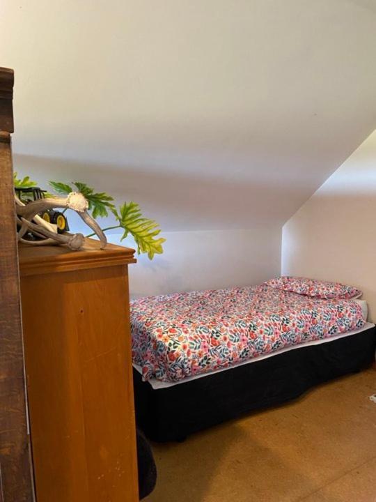 Hadlow Sunrise Retreat Тимару Экстерьер фото